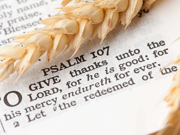 Thanksgiving is cherished by the Lord!